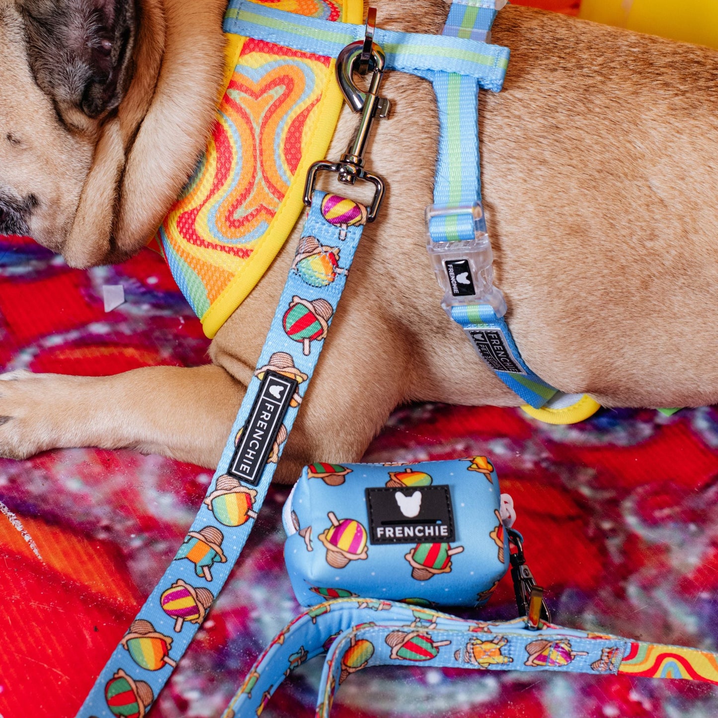 Frenchie Comfort Leash - Rainbow Ice