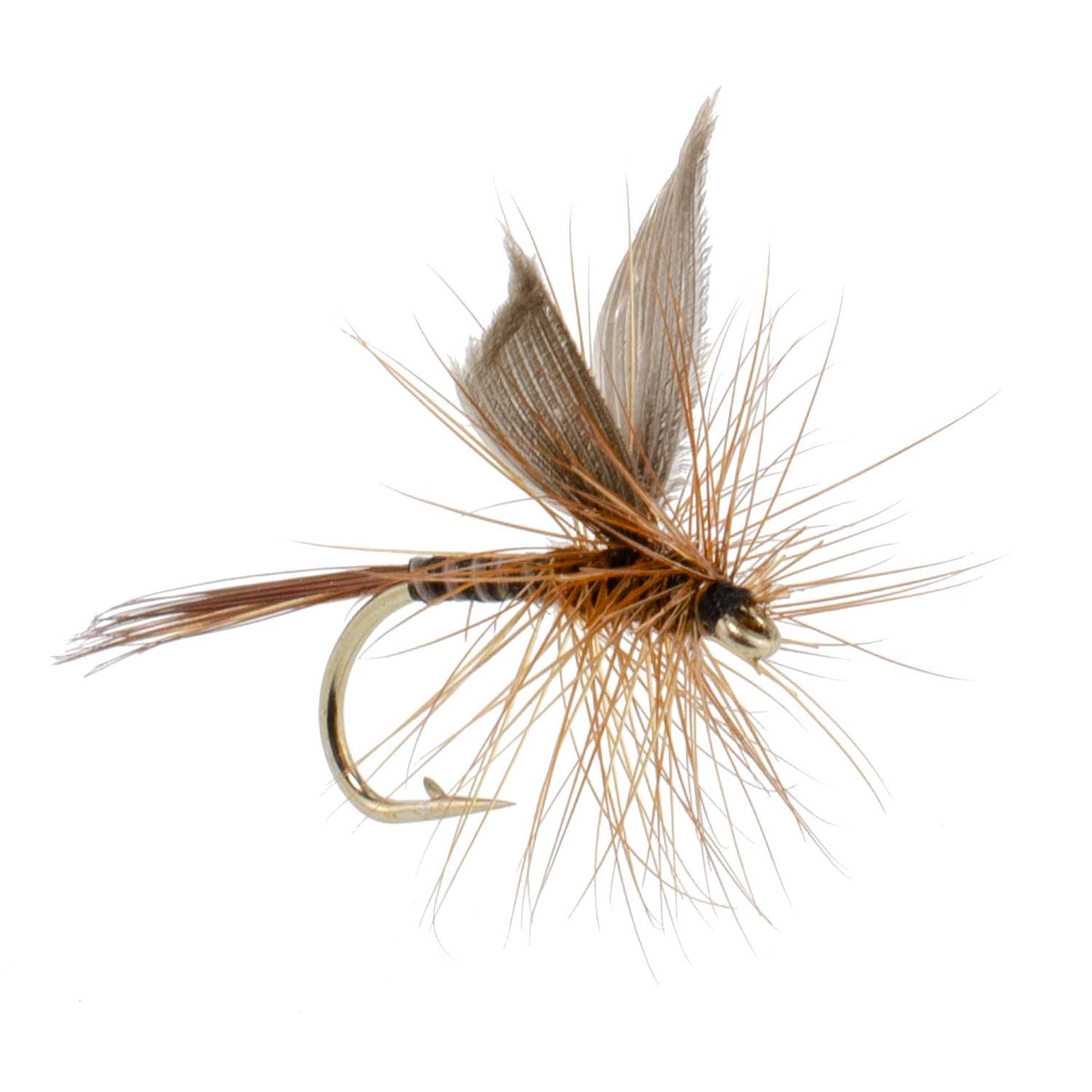 3 Pack Red Quill Classic Dry Fly - Size 18