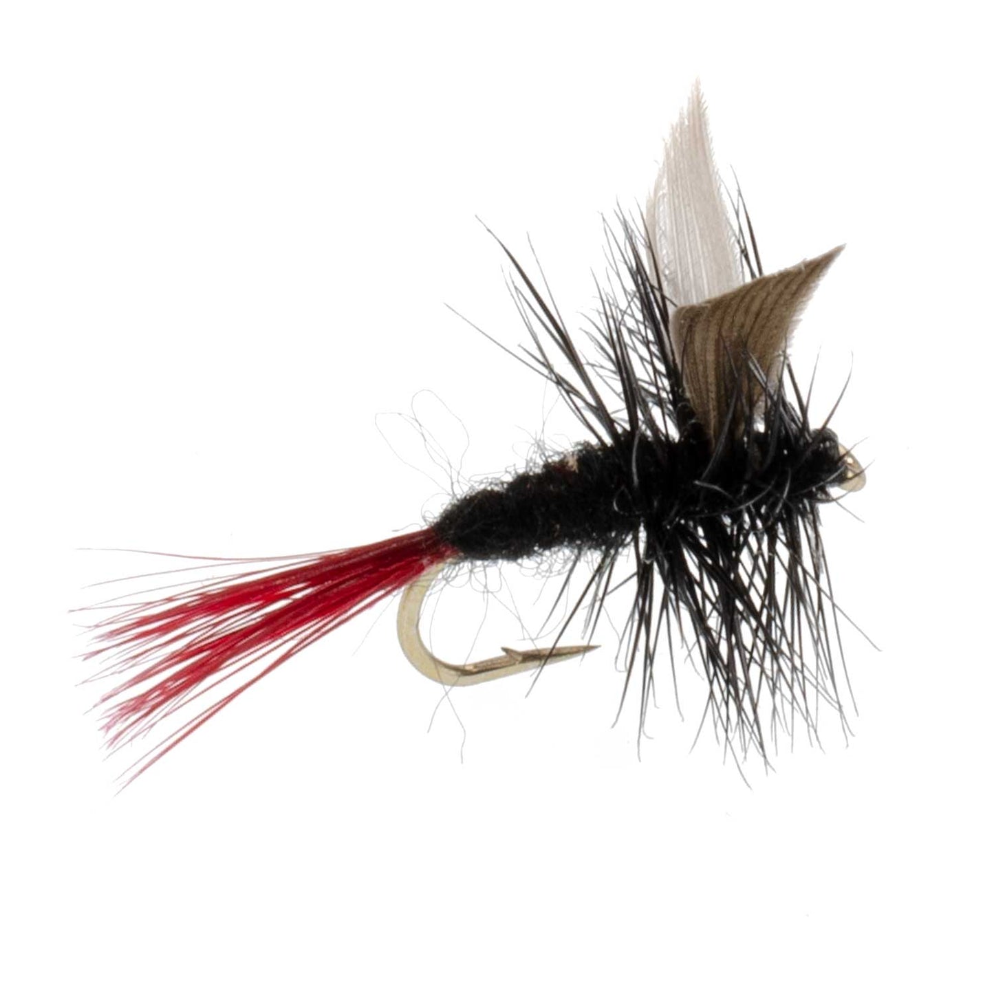 3 Pack Red-Tailed Black Gnat Classic Dry Fly - Size 18