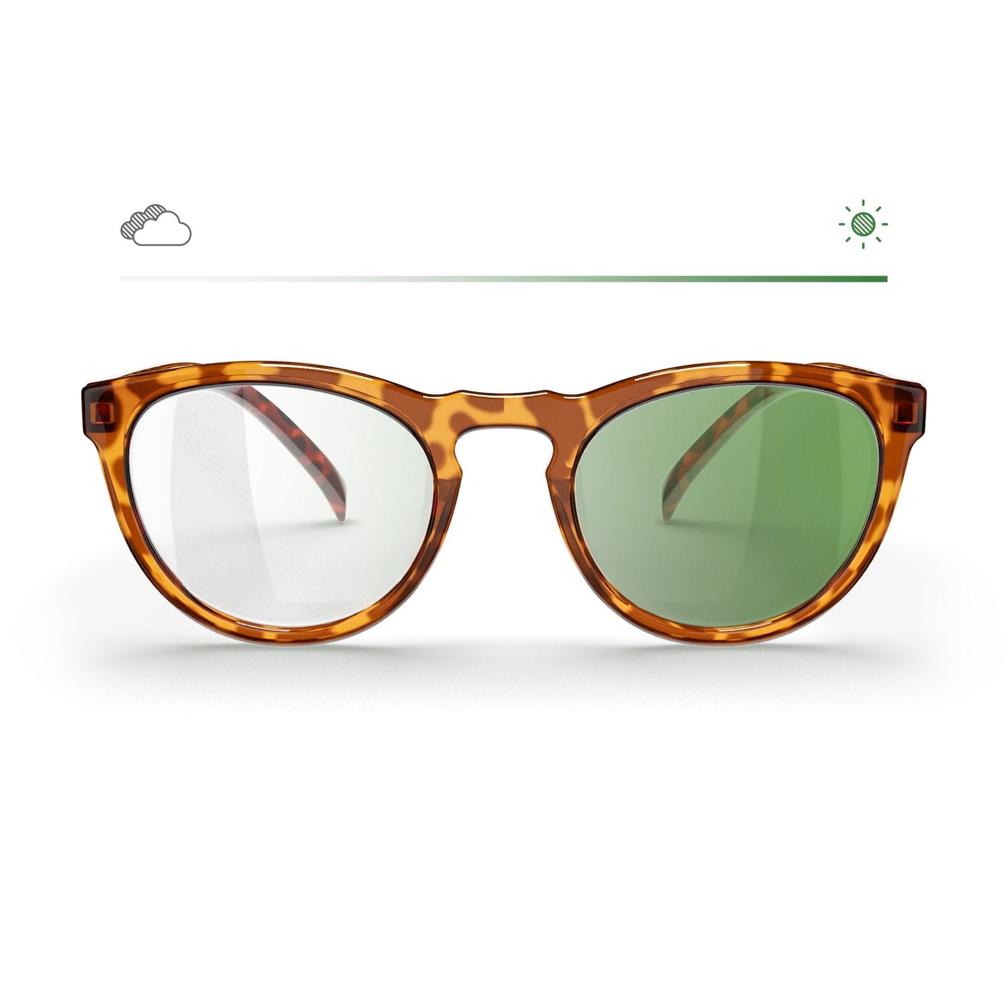 Tortoise Round Prescription Transitions® Colors