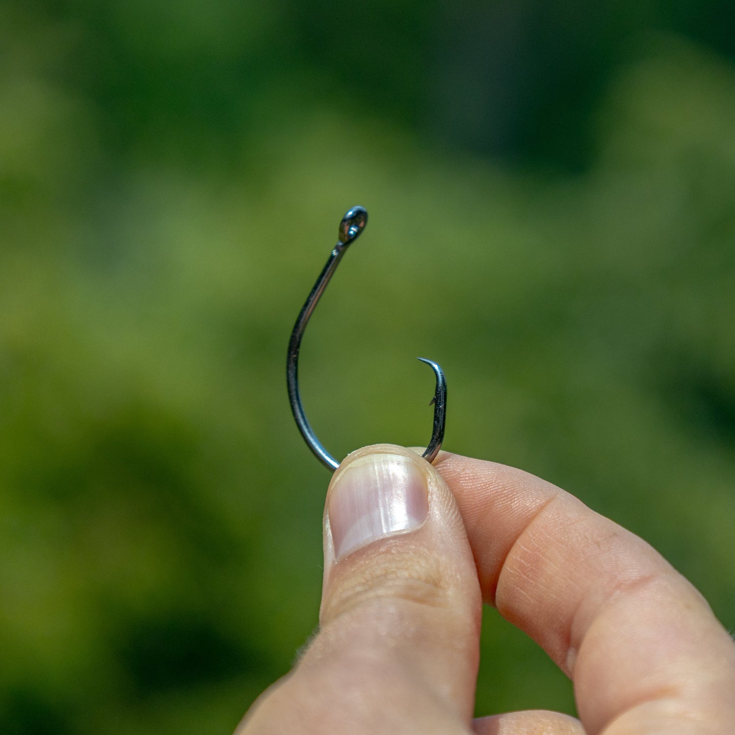 Reaction Tackle Premium Circle Hooks-25 Pack