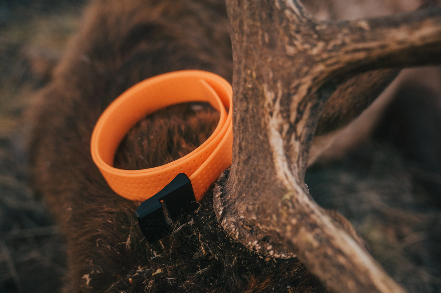 Blaze Orange Mtn Lite