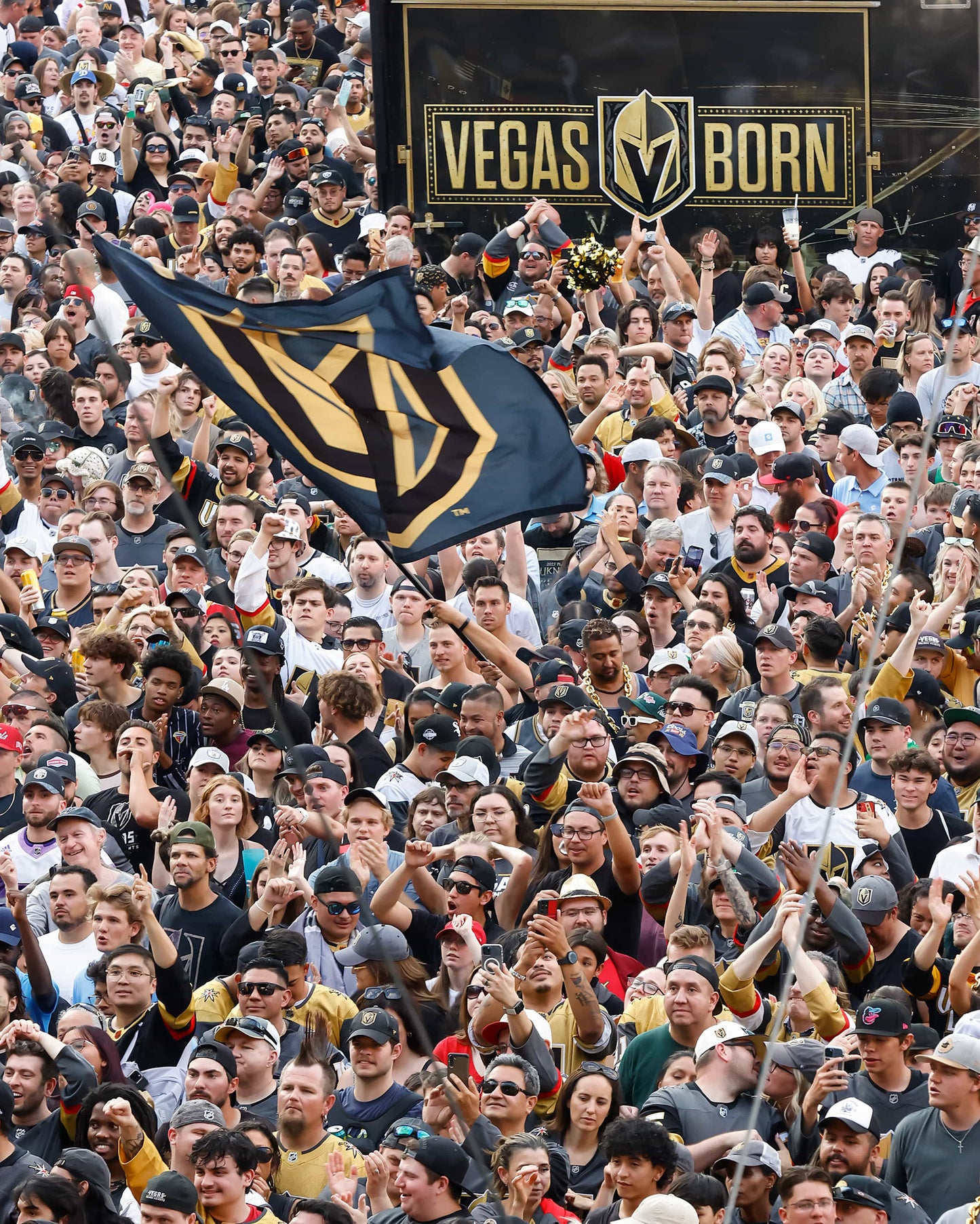 GOLDEN! The Story of the Vegas Golden Knights’ Stanley Cup Season