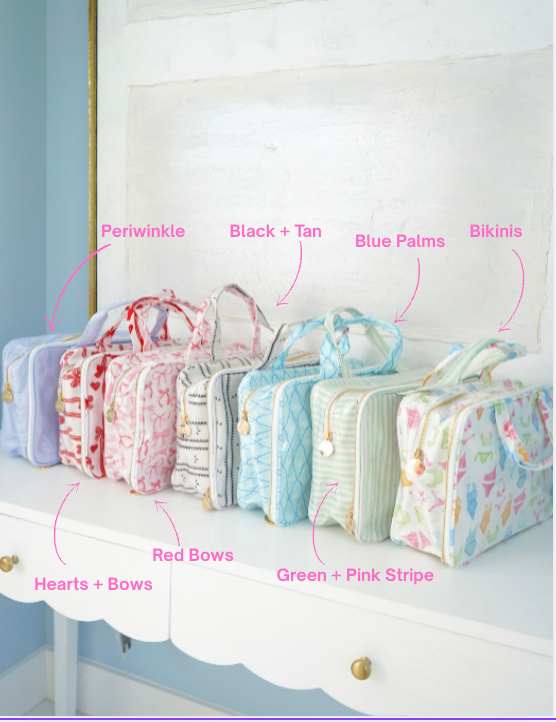 Clear Coat Toiletry Case