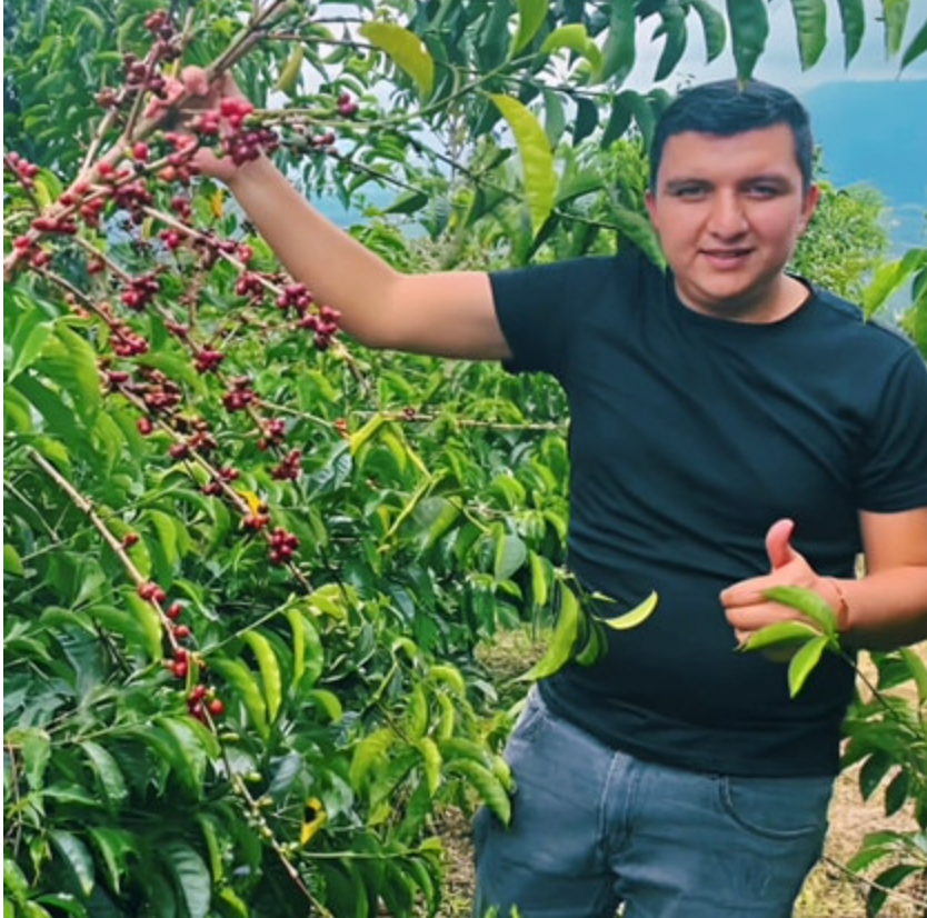 Colombia Finca El Diviso Java Washed Anaerobic Finca El Diviso, led by Nestor Lasso