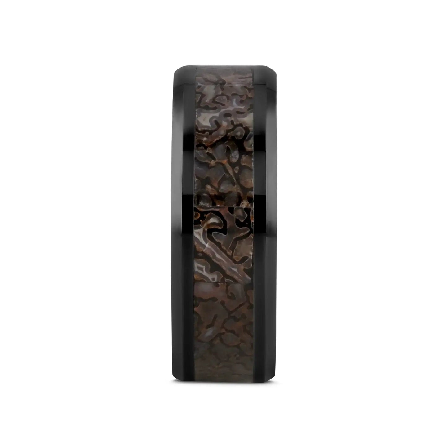 SILURIAN Dinosaur Bone Inlaid Black Ceramic Beveled Edged Ring - 4mm or 8mm