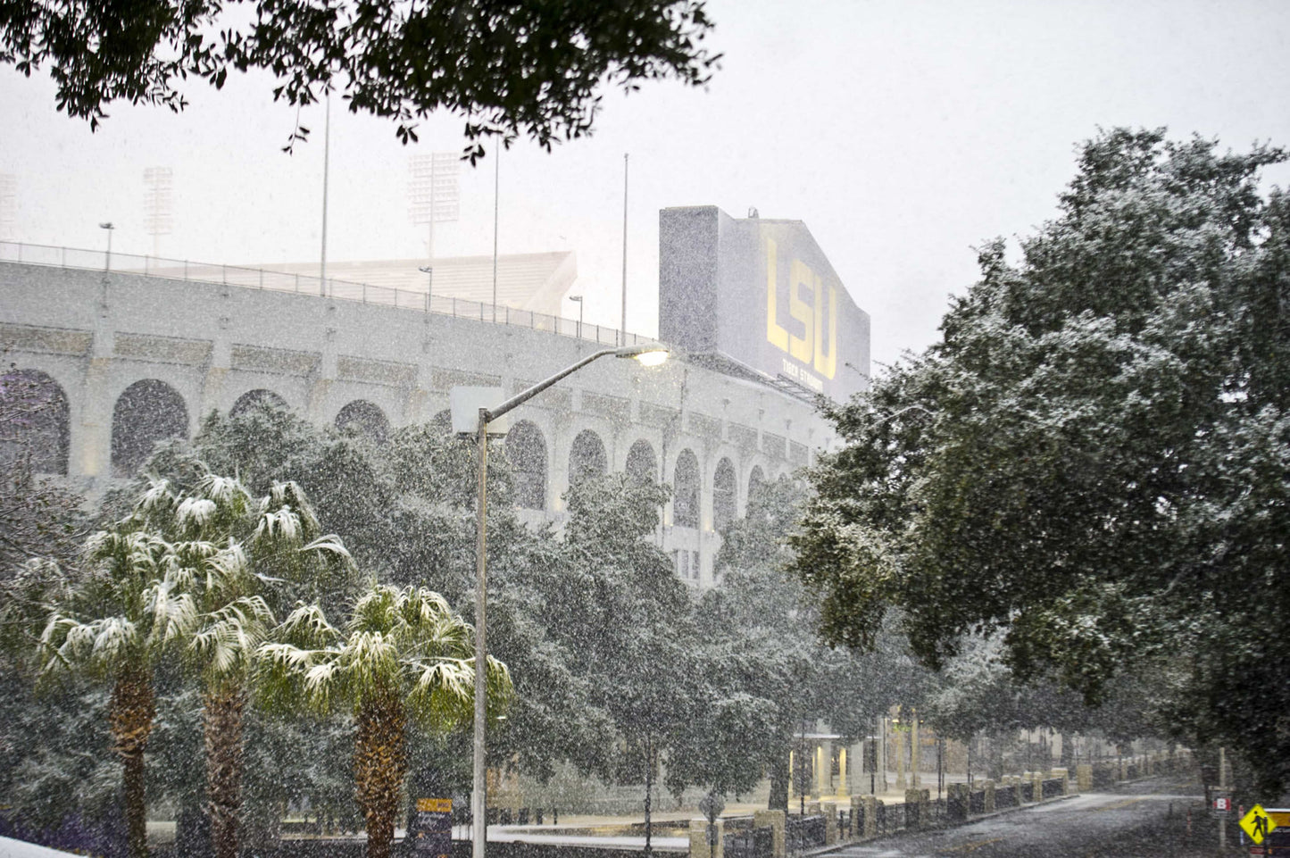 100 Years in Death Valley: How Tiger Stadium Became One of the Most Legendary Venues in American Sports