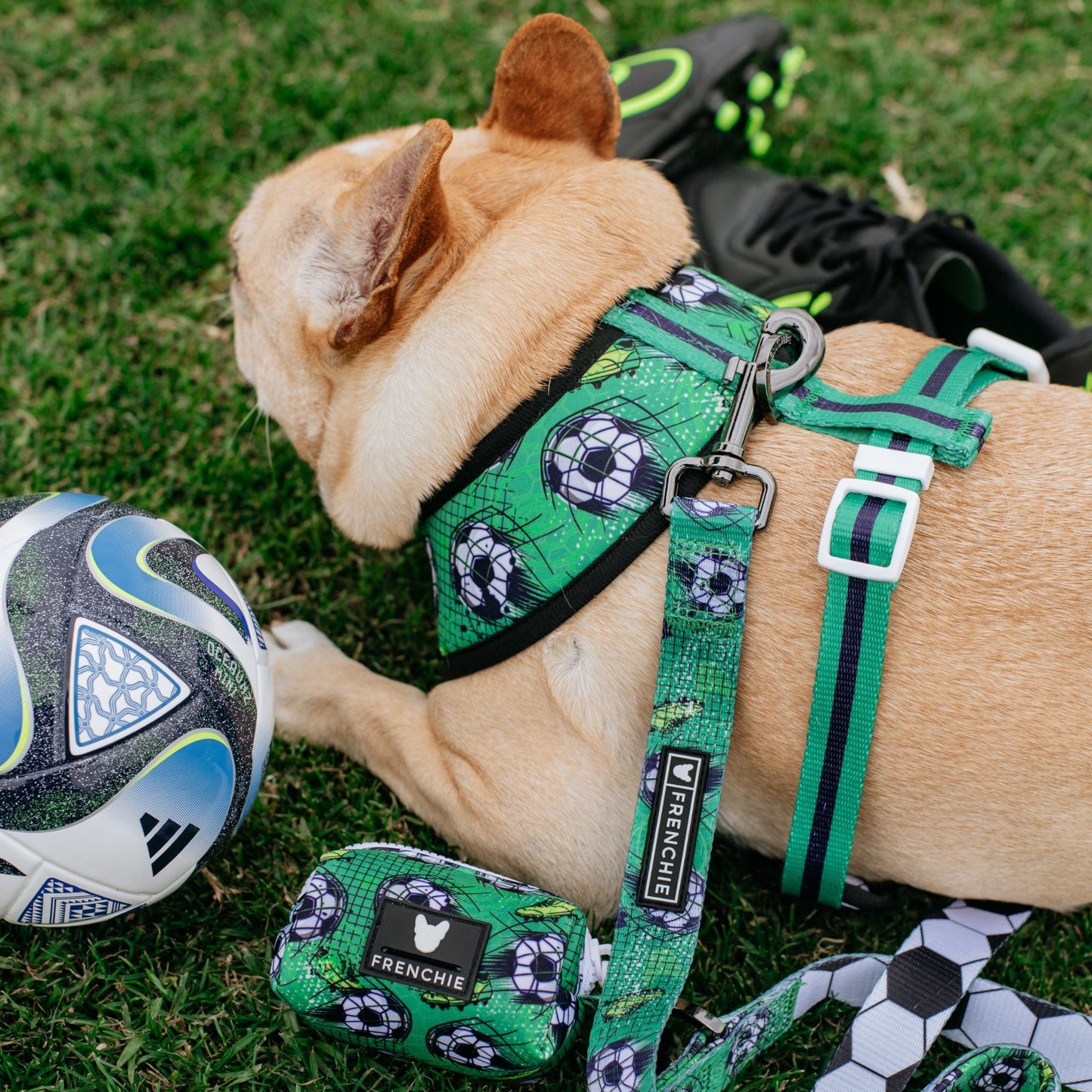 Frenchie Poo Bag Holder - Soccer