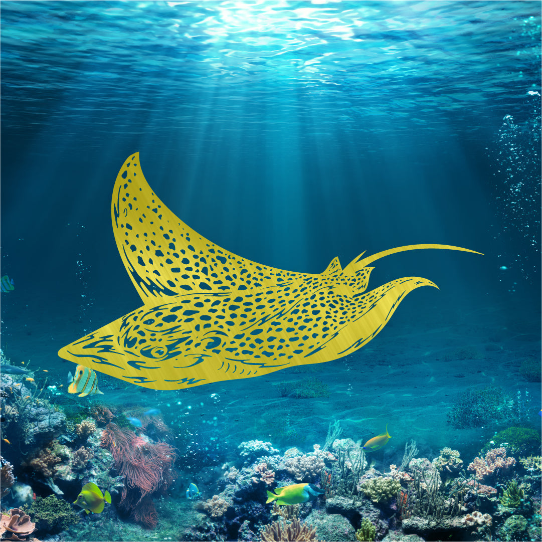 Spotted Eagle Ray