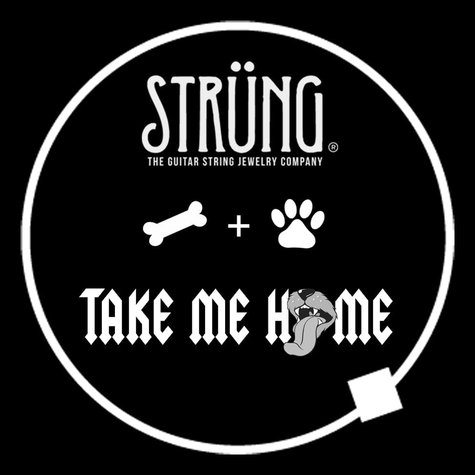 THE PAW - "TAKE ME HOME TONIGHT"