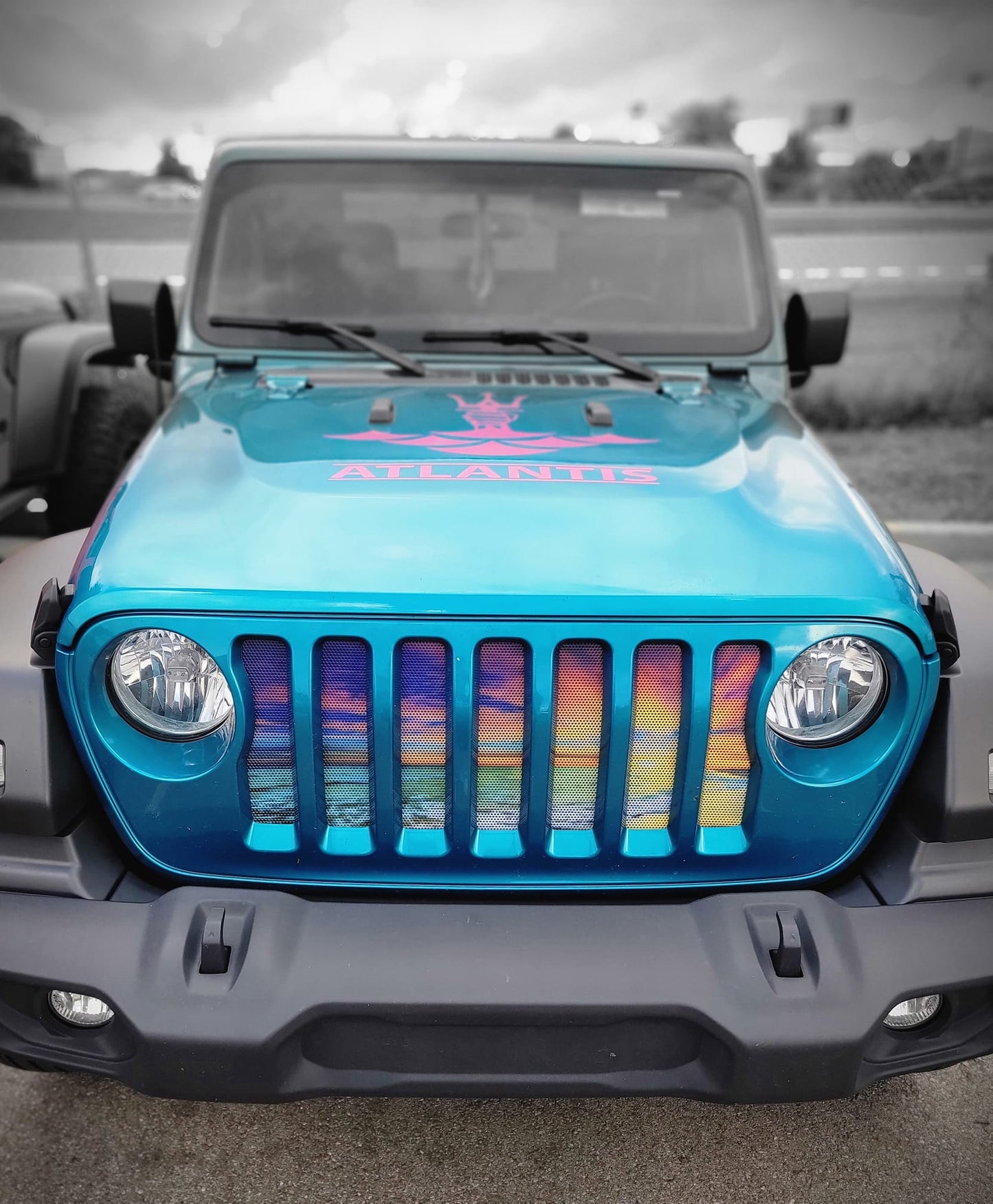 Sunset Collection Grille Inserts