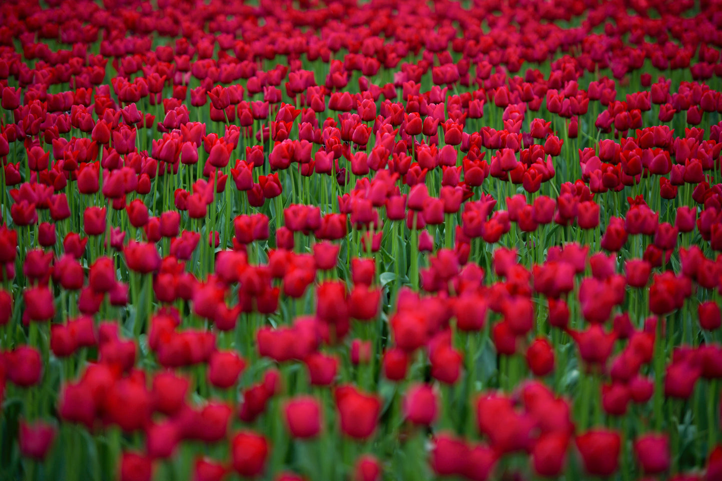 A Year in the Fields: The State of the Washington Farmer