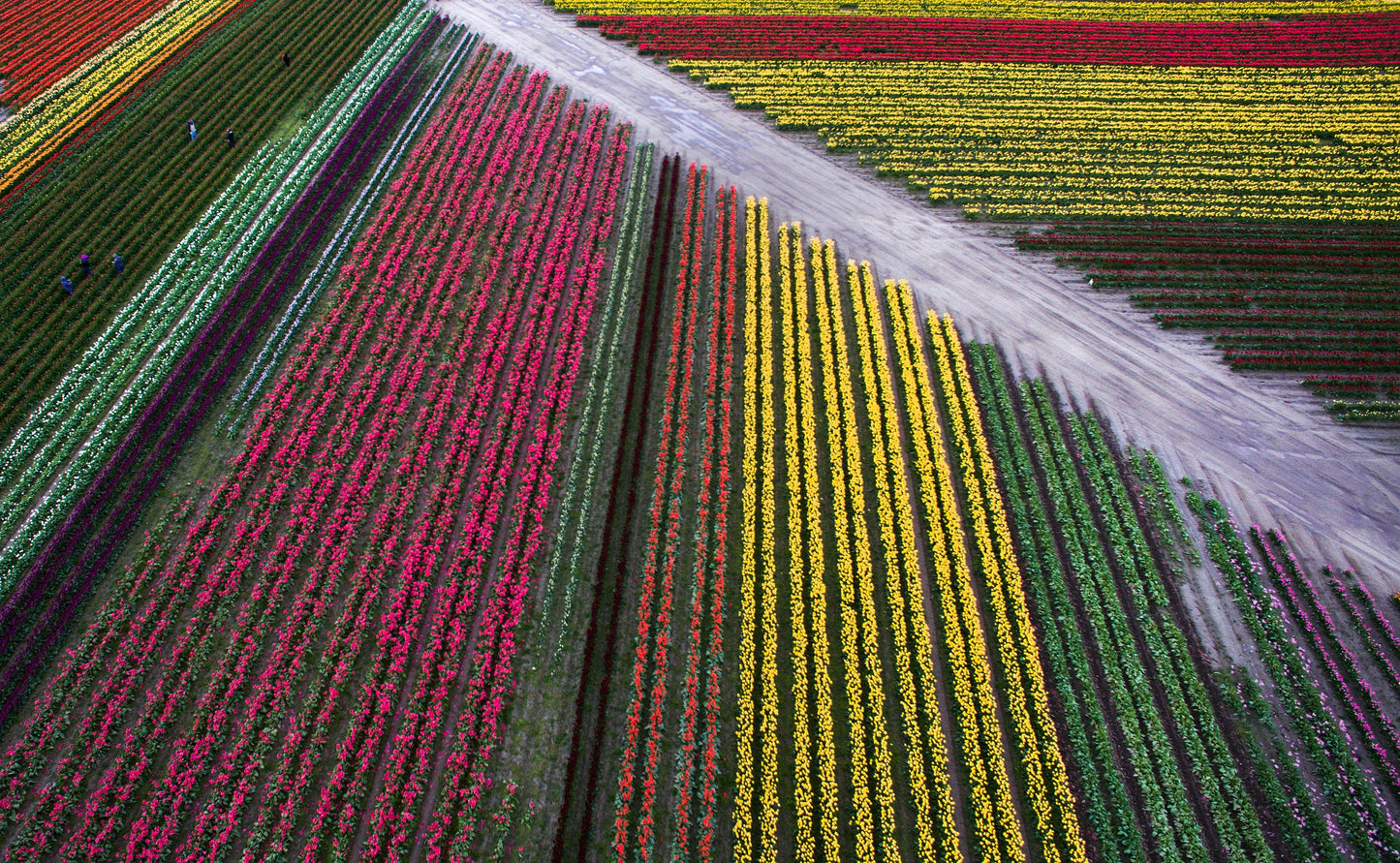 A Year in the Fields: The State of the Washington Farmer