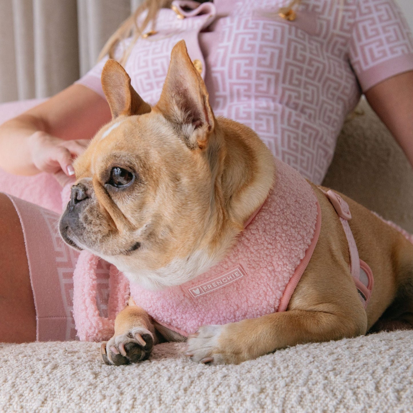 Frenchie Duo Reversible Harness - Teddy Pink