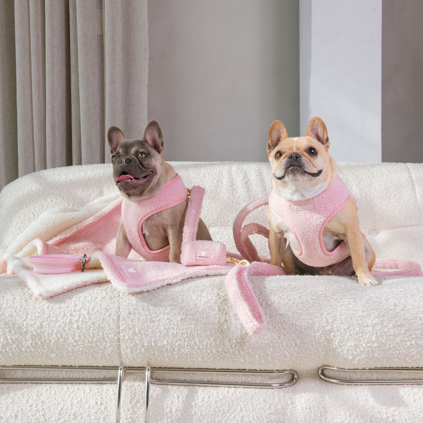 Frenchie Duo Reversible Harness - Teddy Pink