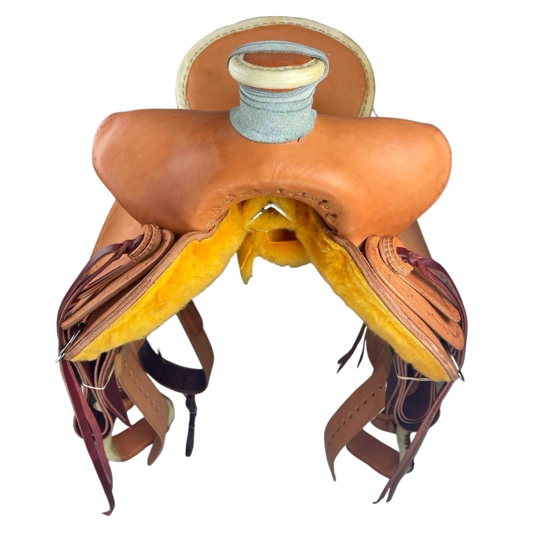 The Colorado Fit's Em