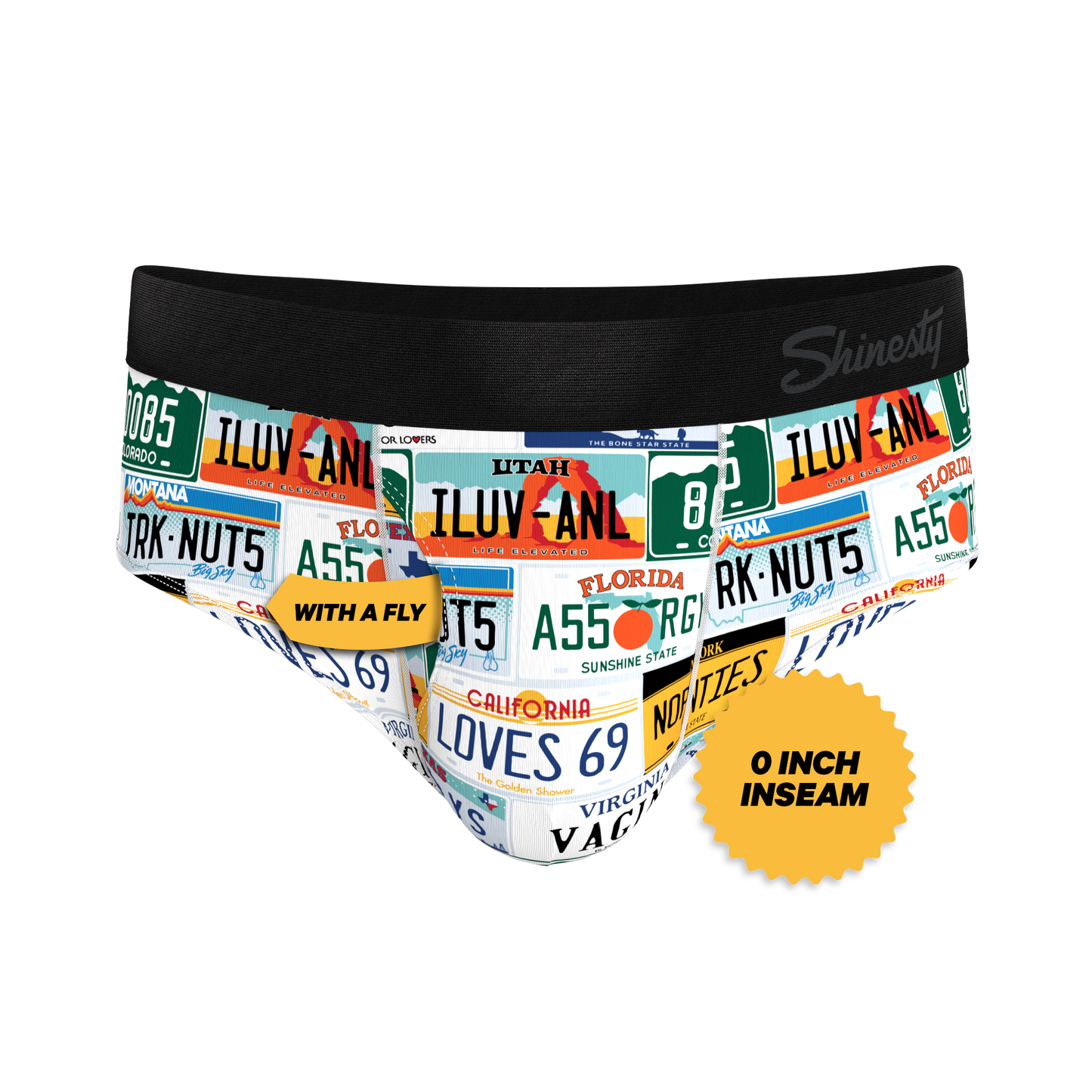 The DMV Catastrophe | License Plates Ball Hammock® Pouch Underwear Briefs