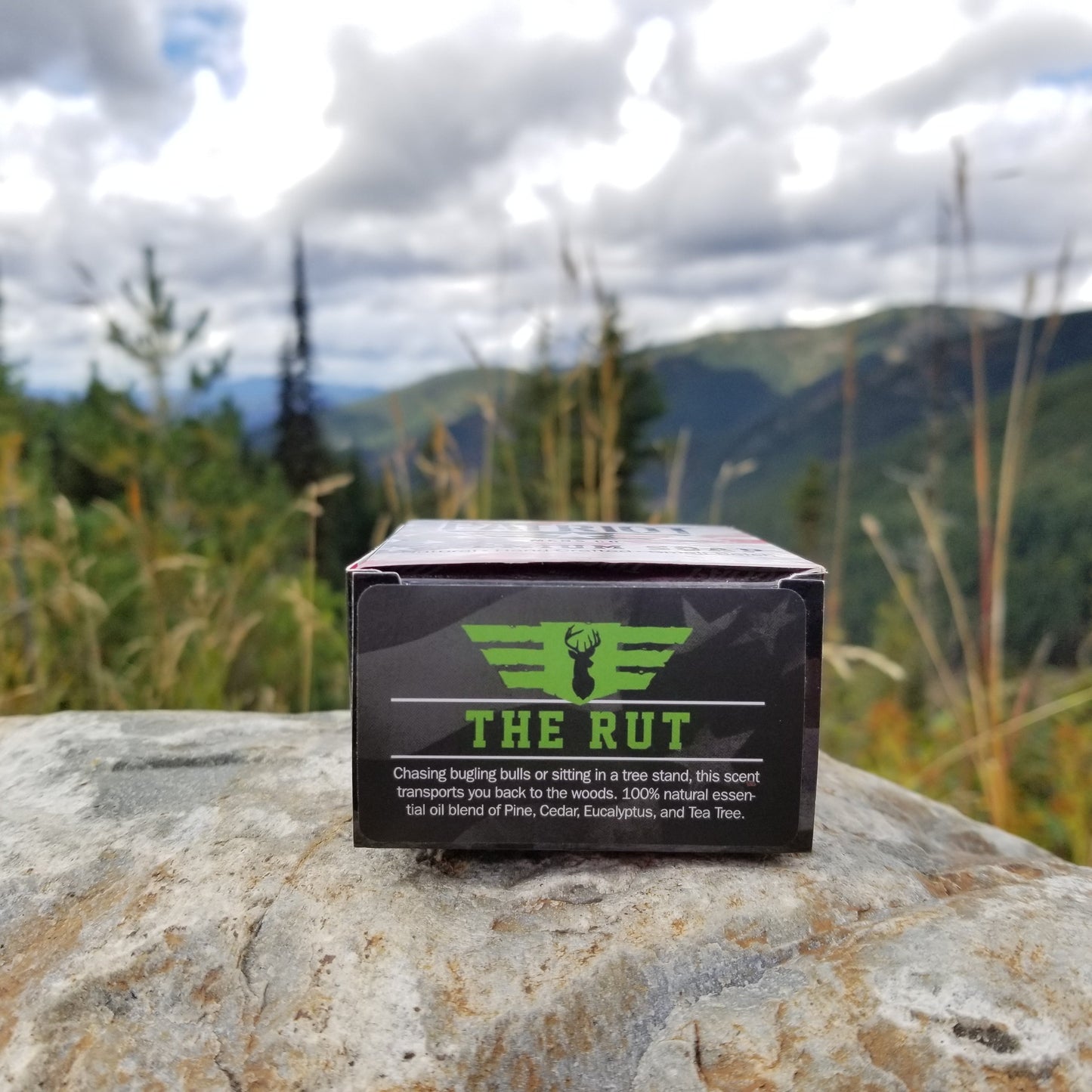 The Rut - Pine and Cedarwood