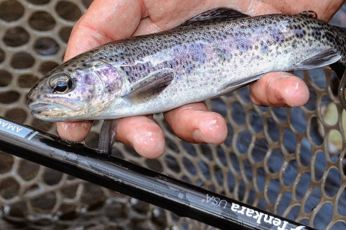 AMAGO™ 13ft6in (410cm)