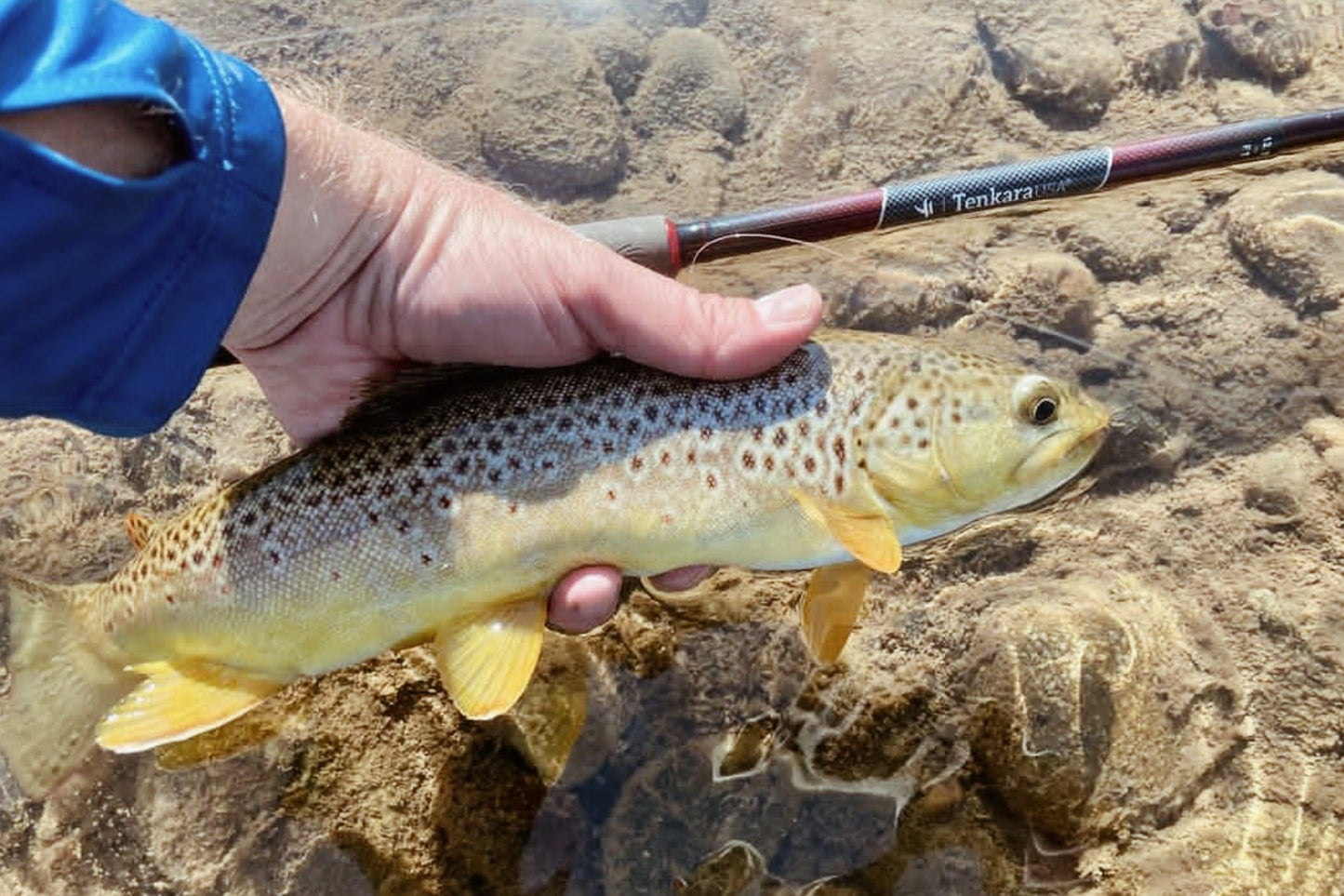 SATOKI™ 10'8" / 12'2" / 13'7" (adjustable)