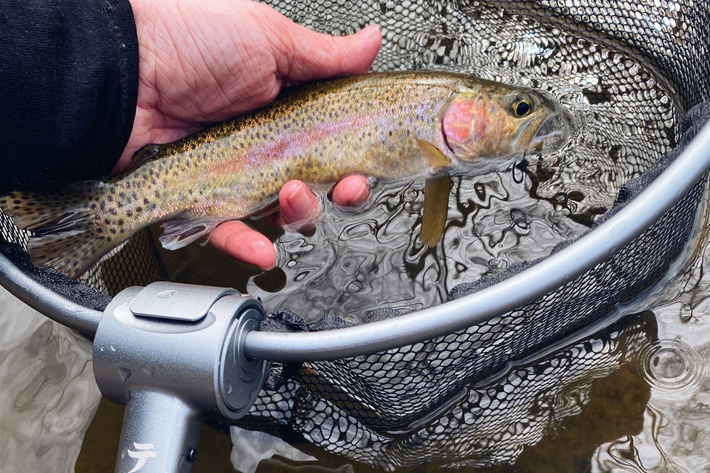 The TAMO Tenkara Net