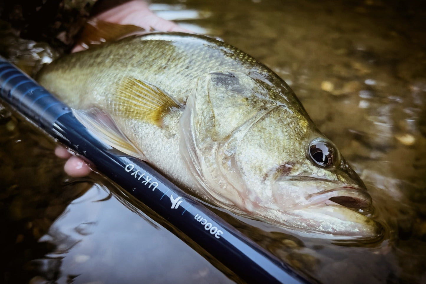 UKIYO™ 9ft10in (300cm)