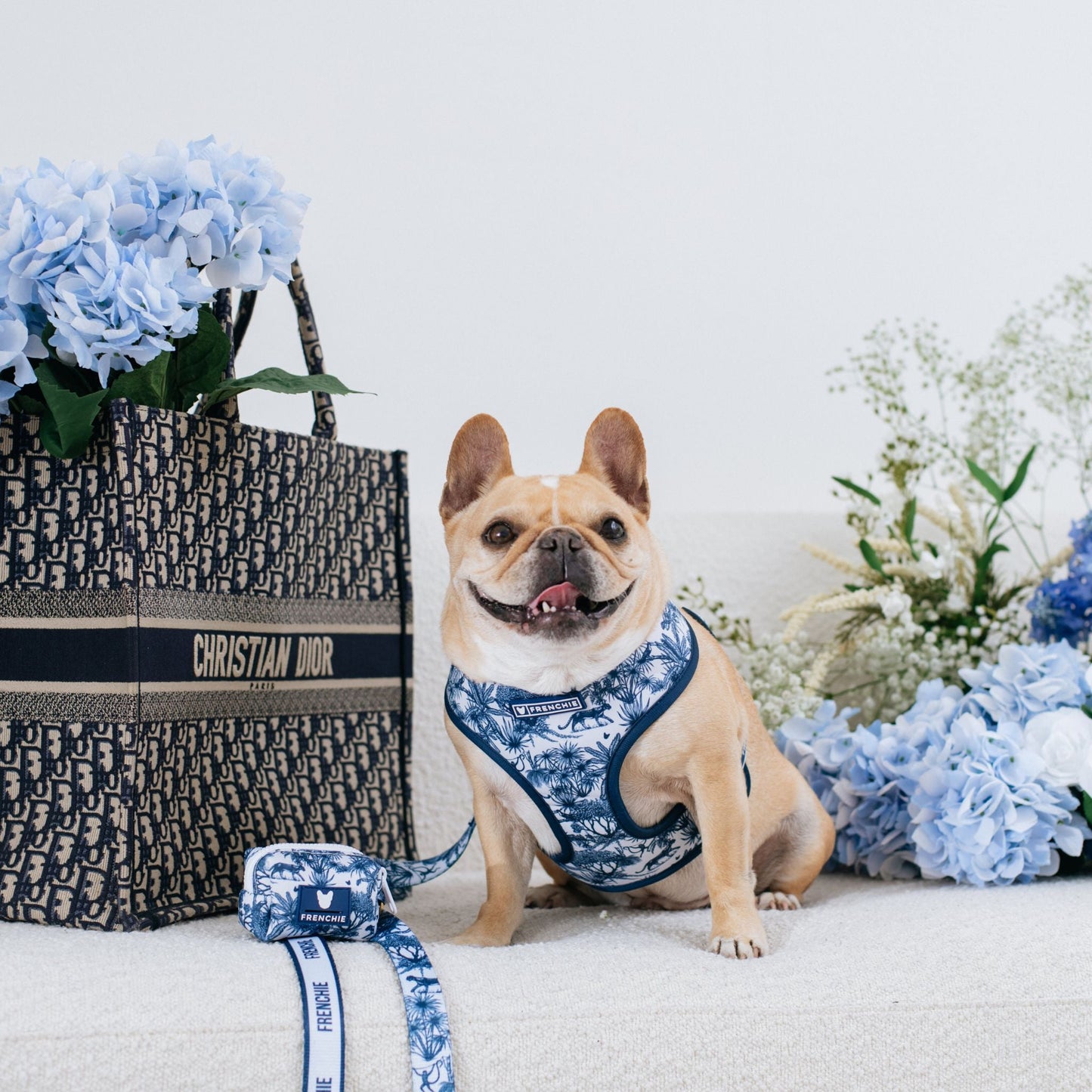 Frenchie Comfort Leash - Toile (Blue)