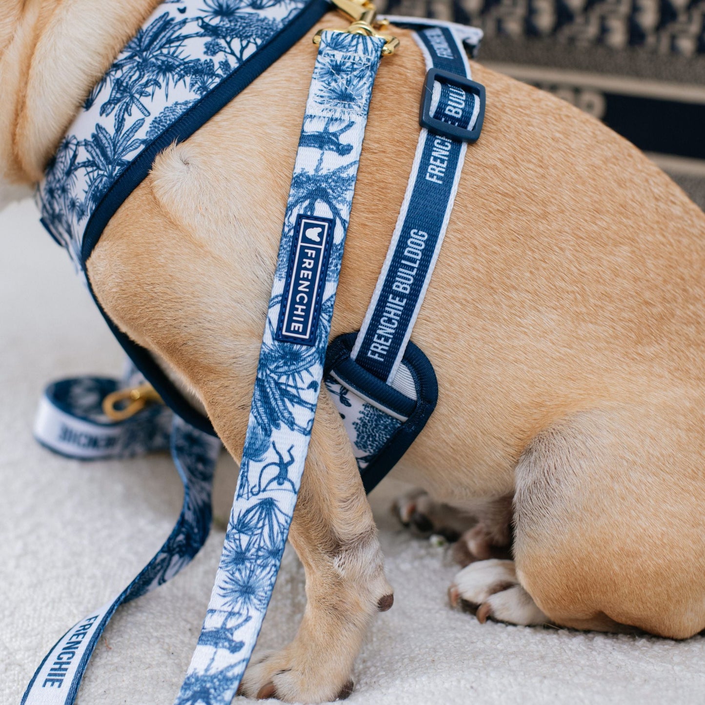 Frenchie Comfort Leash - Toile (Blue)