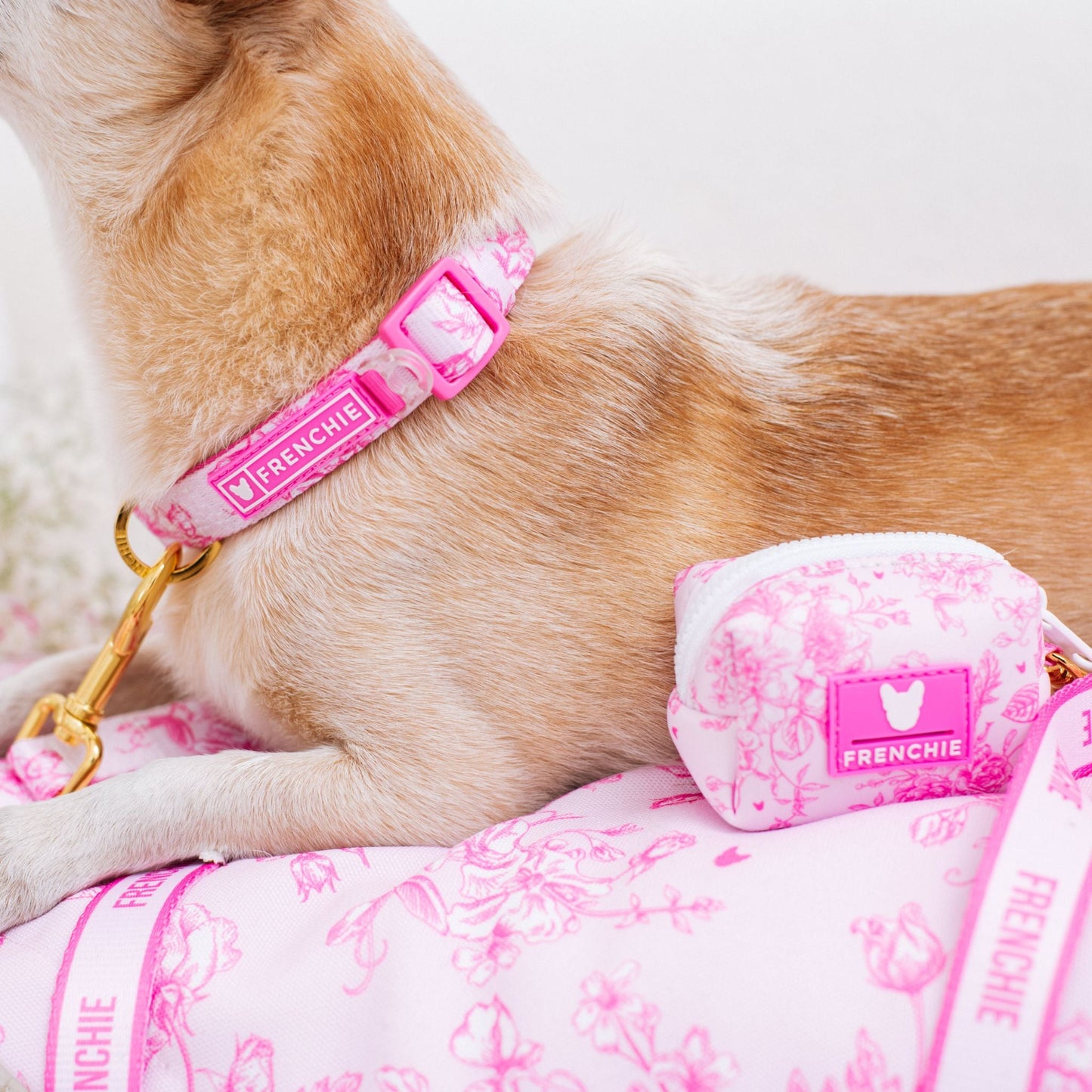 Frenchie Comfort Collar - Toile (Pink)