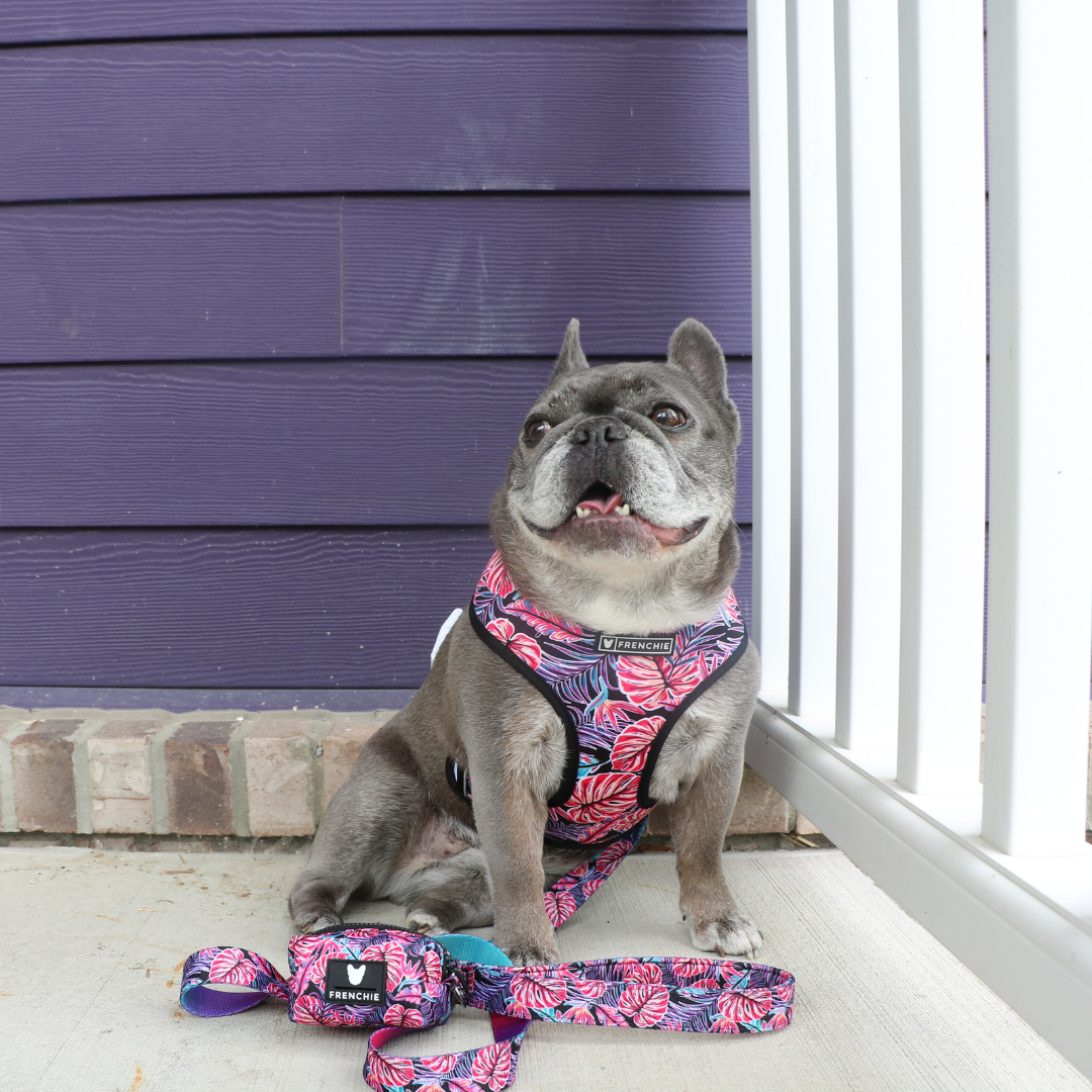 Frenchie Poo Bag Holder - Tropical Palms