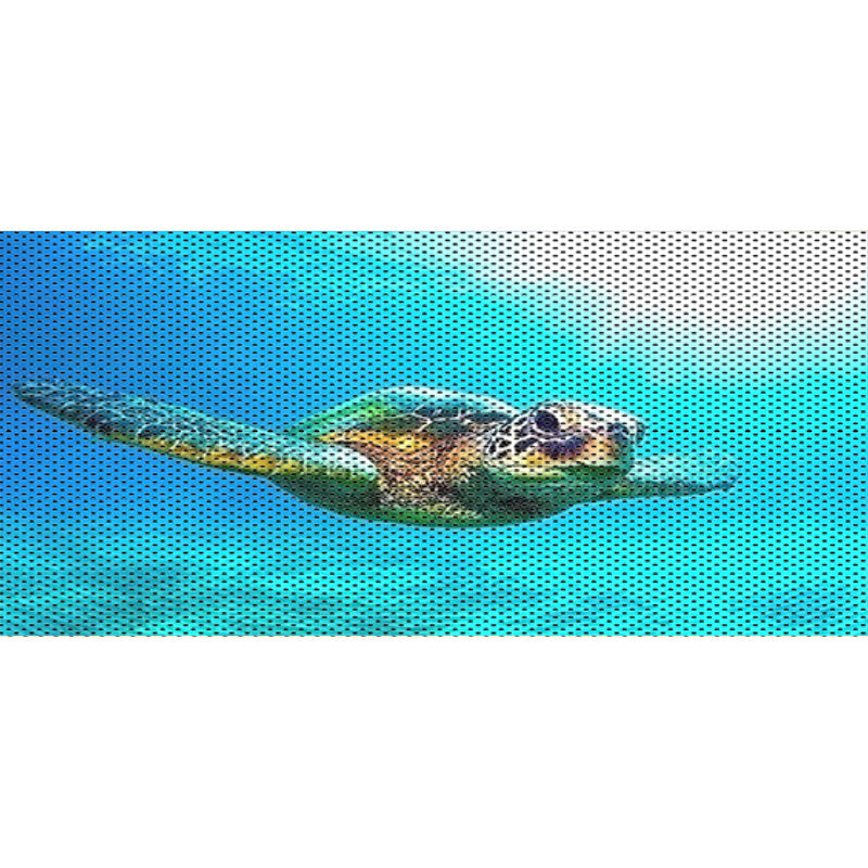 Turtles Collection Grille Inserts