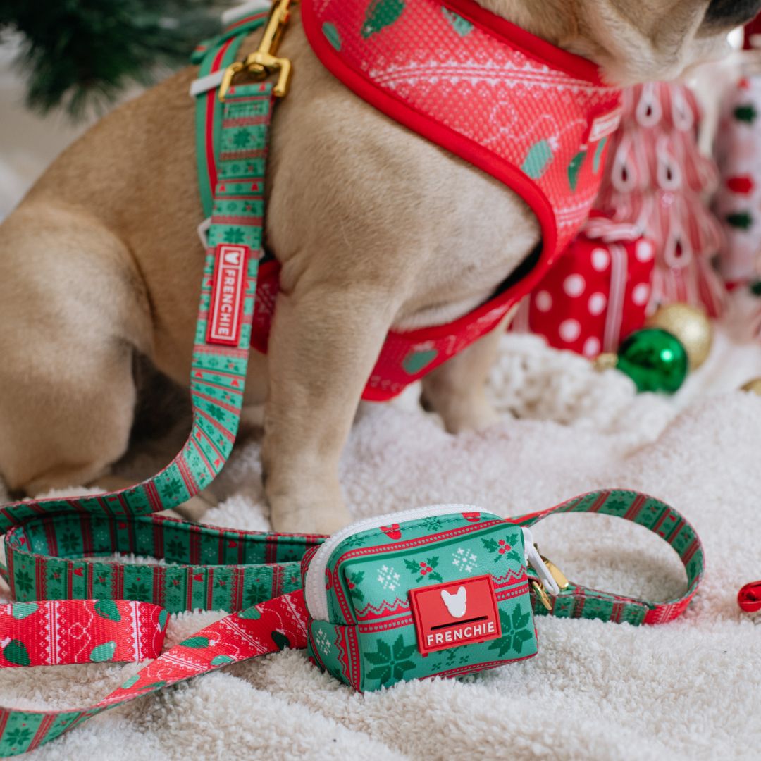 Frenchie Comfort Leash - Ugly Sweater