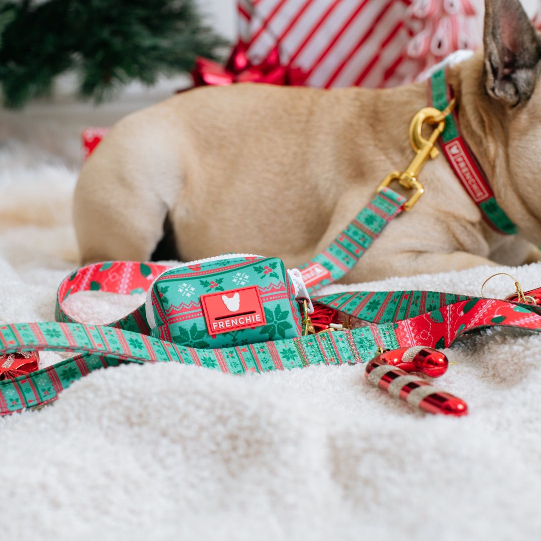 Frenchie Comfort Leash - Ugly Sweater