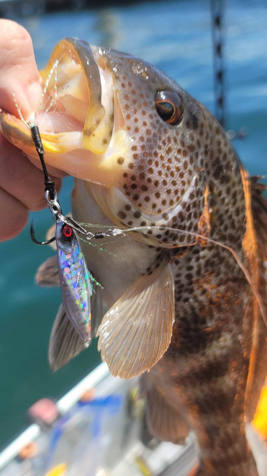 Mercenary Micro Slow Pitch Jig – 4-Pack – 10g & 15g