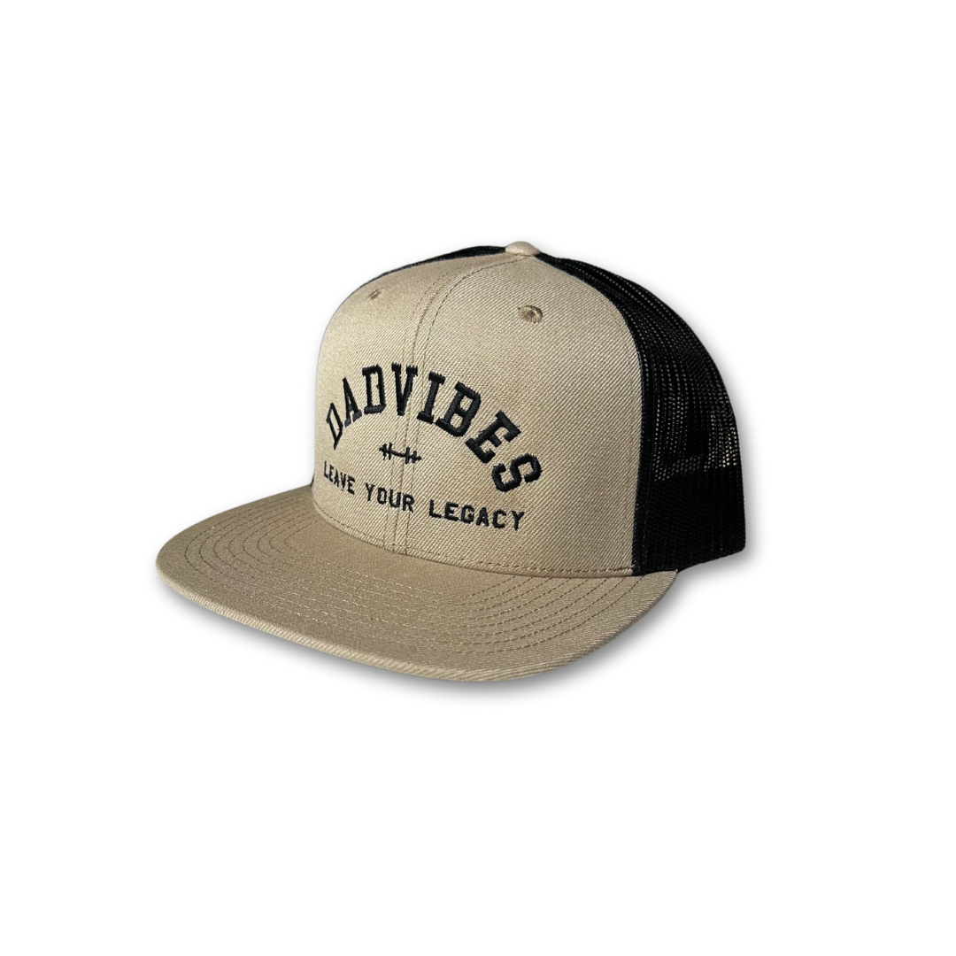 DadVibes FLAT Bill SnapBack