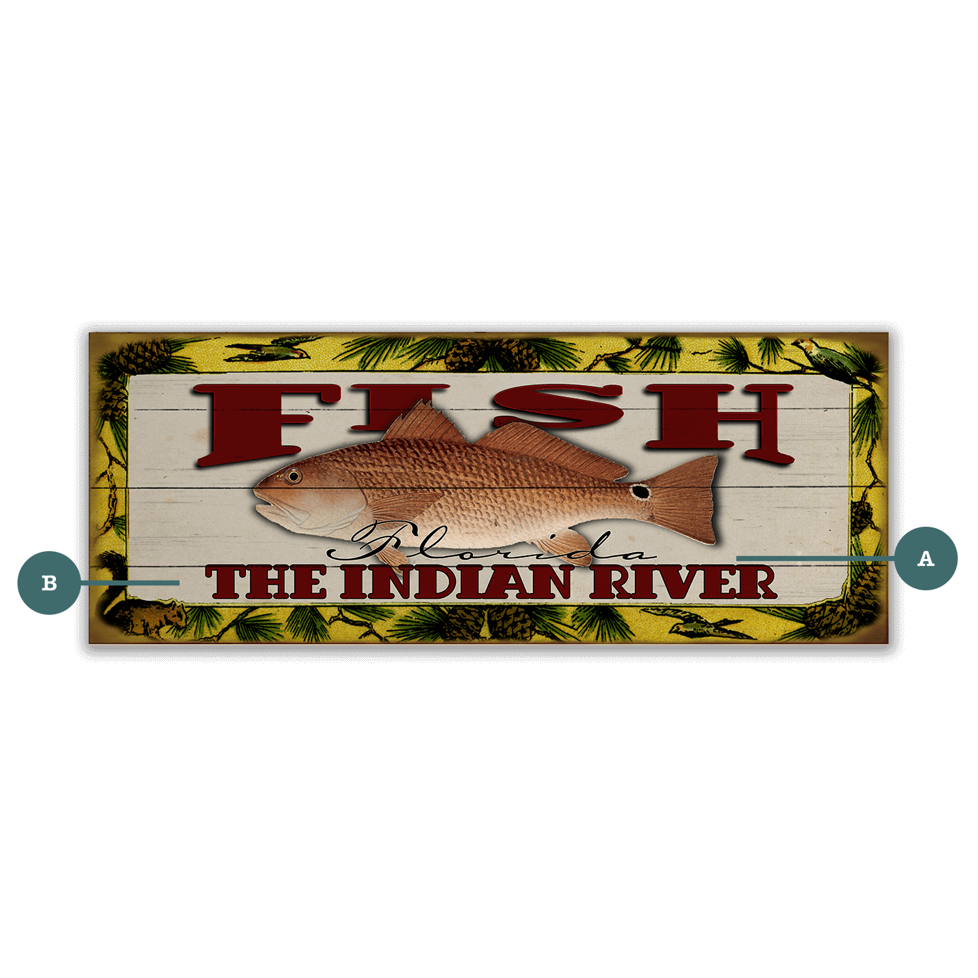 Catch of the Day Freshwater Fishing Sign Wall Decor