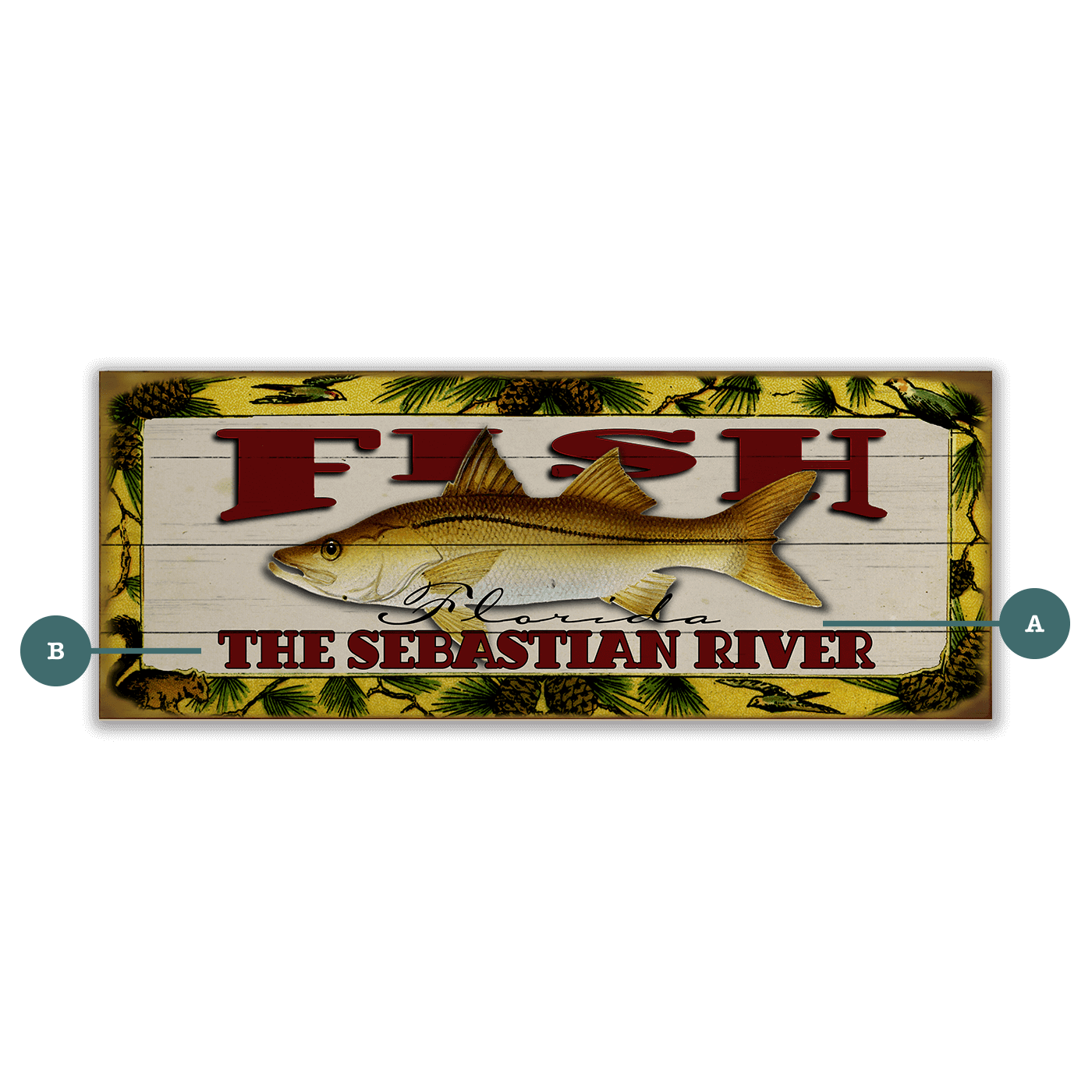 Catch of the Day Freshwater Fishing Sign Wall Decor