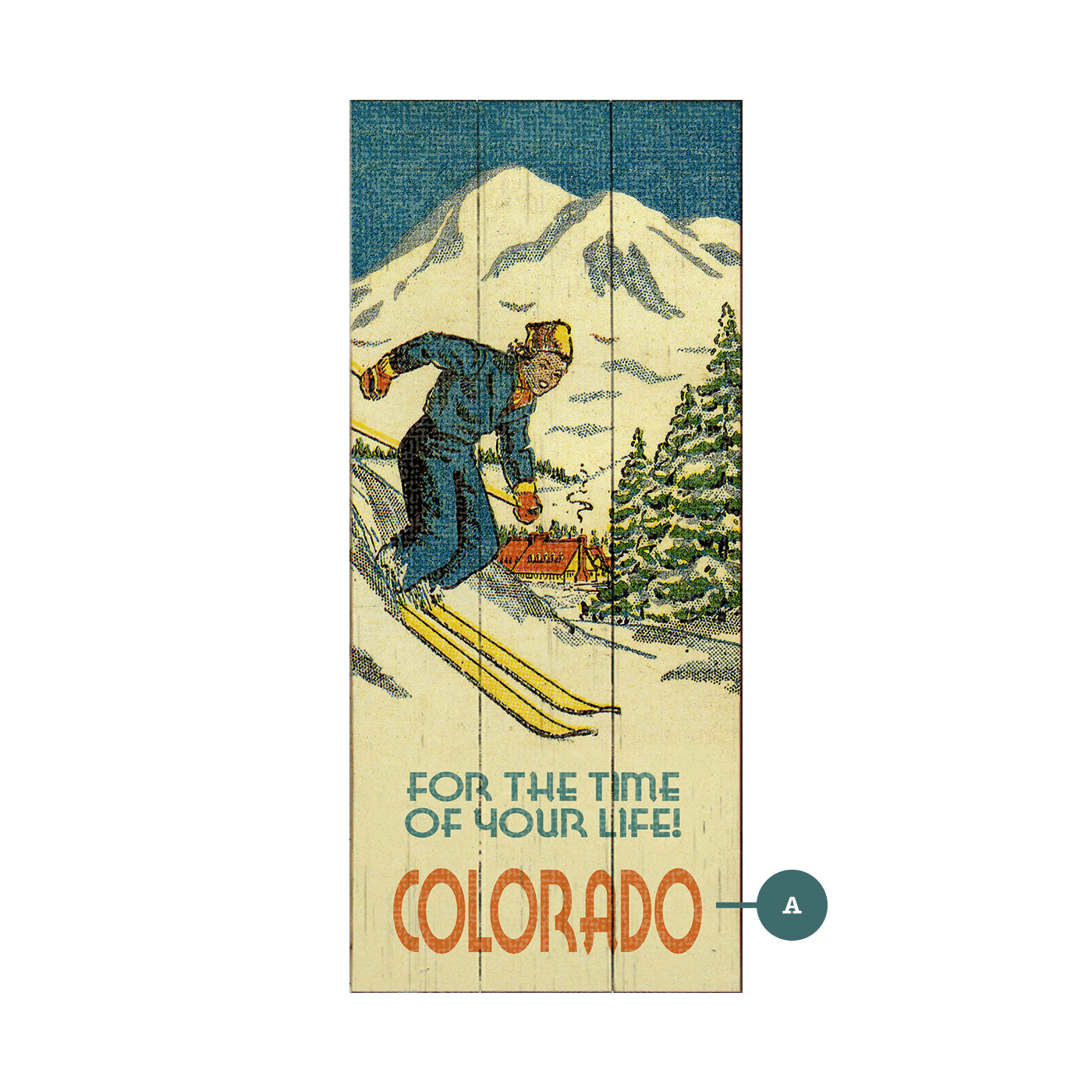 Time of Your Life Downhill Skier - Wood & Metal Wall Art