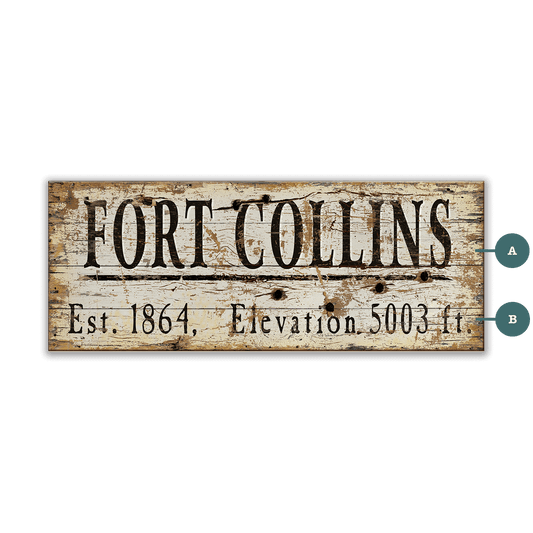 Fort Collins Established & Elevation - Wood & Metal Wall Art