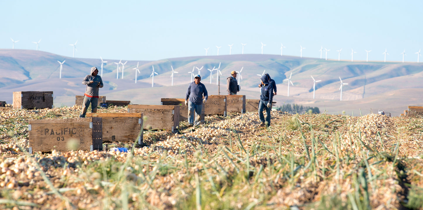 A Year in the Fields: The State of the Washington Farmer