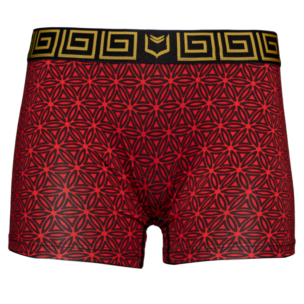 SHEATH Women's Modal Boxer Brief