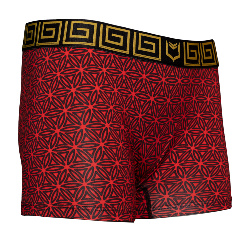 SHEATH Women's Modal Boxer Brief