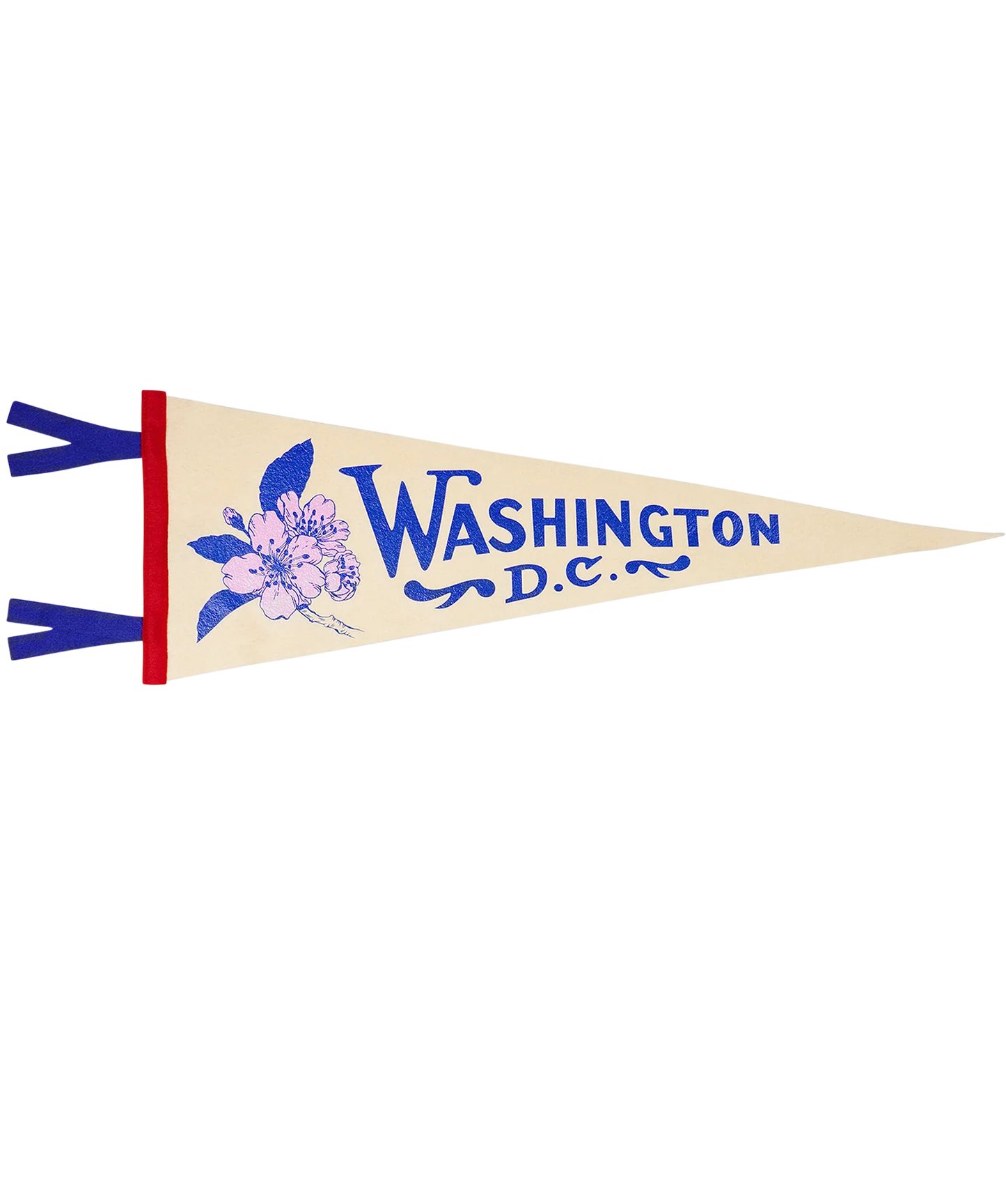 Washington D.C. Pennant