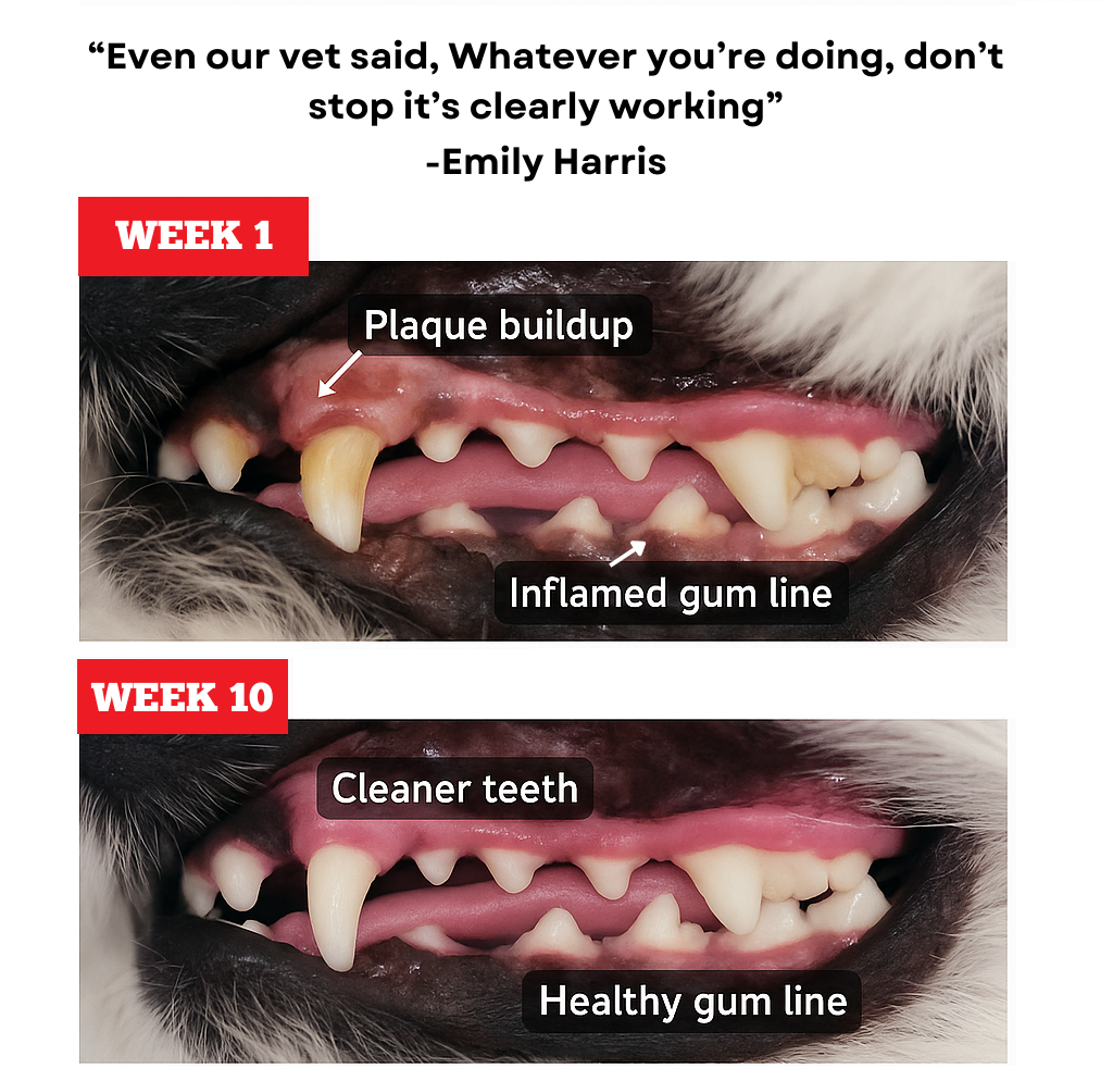 Strawberry Himalayan Yak Chew (MEDIUM)