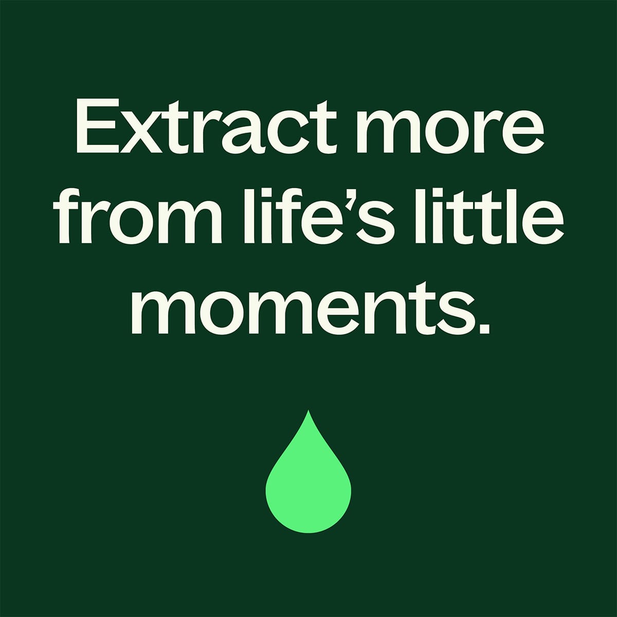Wood Spice Essential Oil Blend