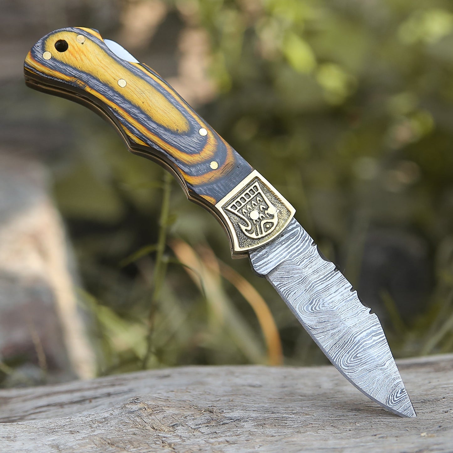 Customs Hand Made Damascus Steel Hunting Folding Knife Brass Bolster With Colored Wood Handle WH 2593