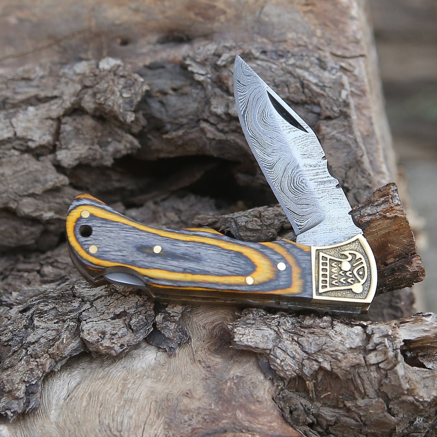 Customs Hand Made Damascus Steel Hunting Folding Knife Brass Bolster With Colored Wood Handle WH 2593