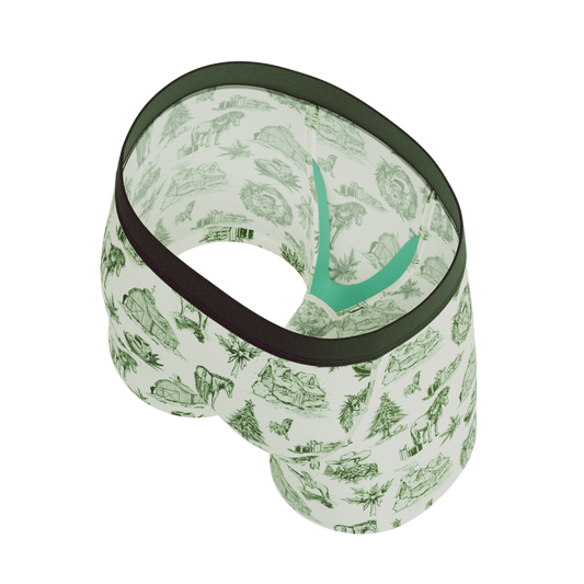 The Western Wonderland | Western Toile Youth Boxer Briefs