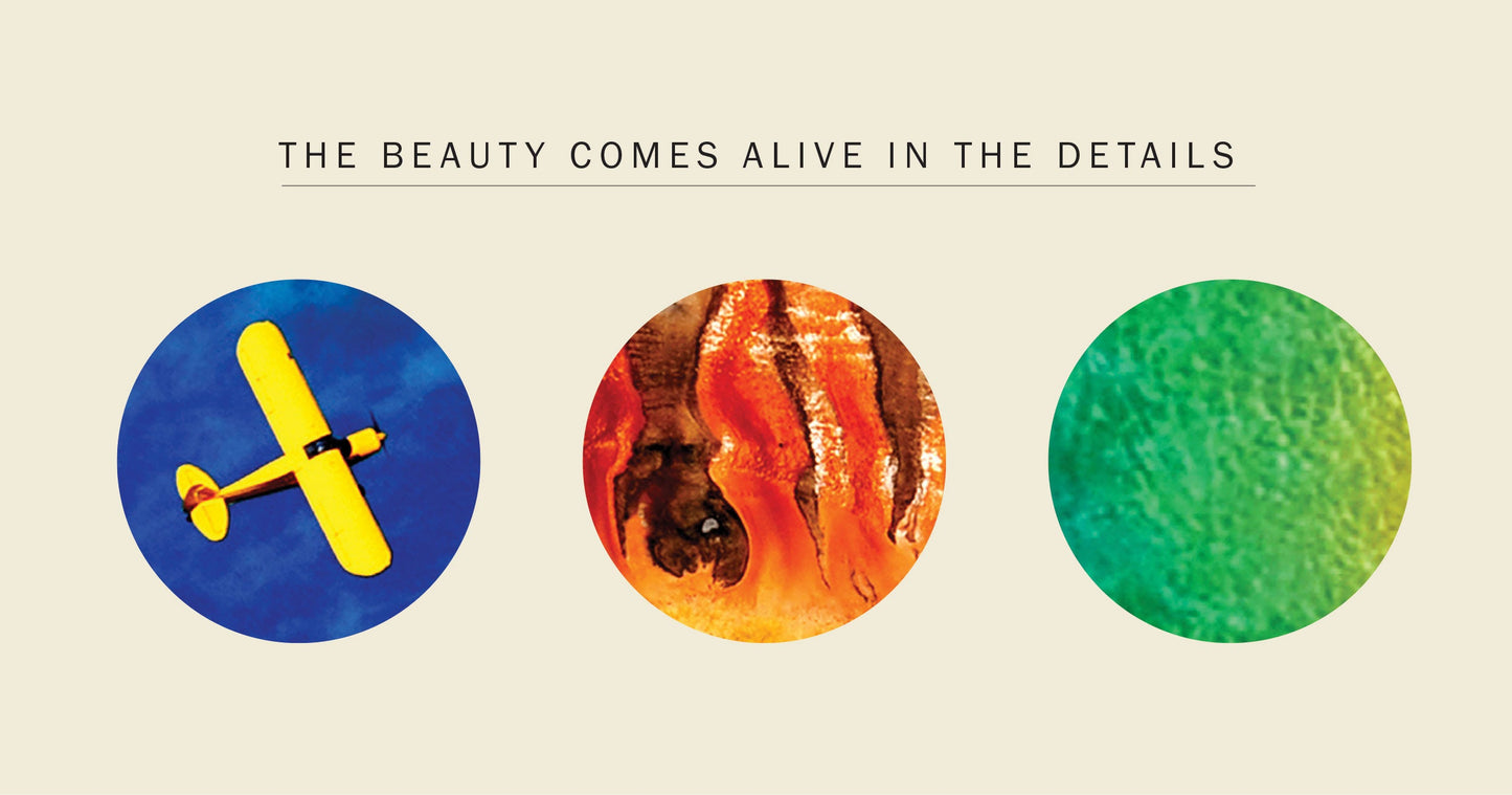 Photo Puzzle: Yellowstone: 500 Pieces