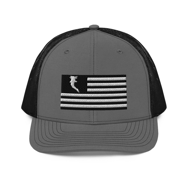 Flag Embroidered BnW (Snapback)